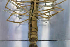 Caroline-MA.-Tale-Spe.-Cage-thoracique-hybride-45-scaled