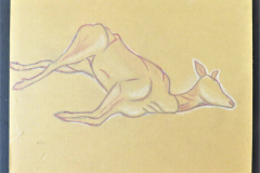 Elodie-NAM.-Tale-Spe.-Chasse.
